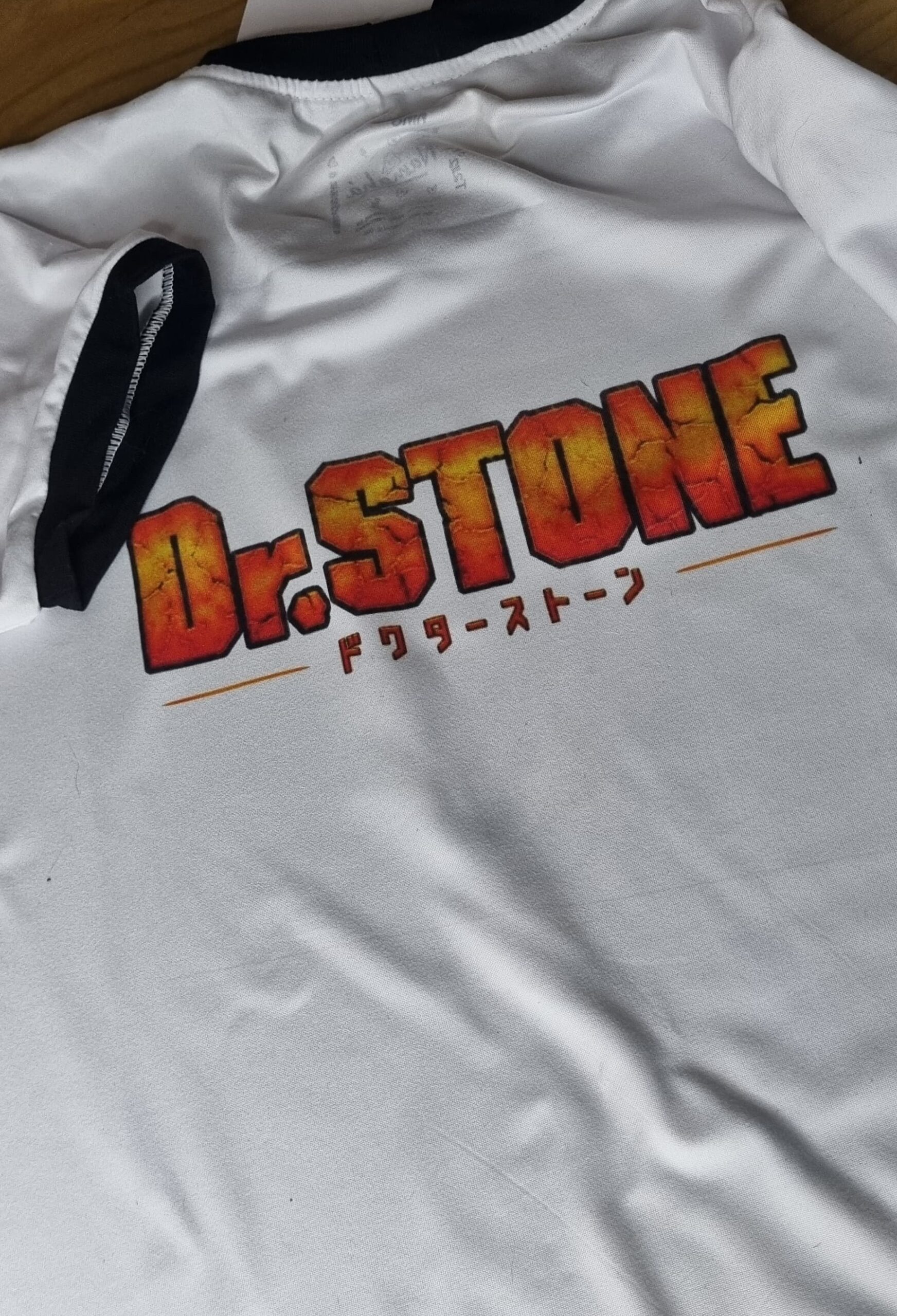 CAMISETA DR. STONE